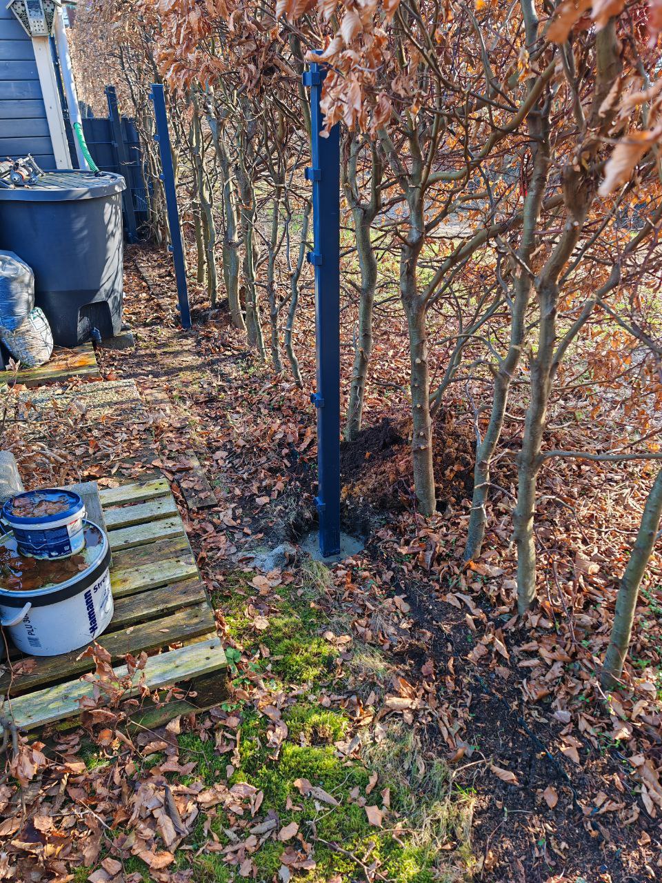 Anthrazit Doppelstabmattenzaun als Hundesicherung in Elmshorn – Detail