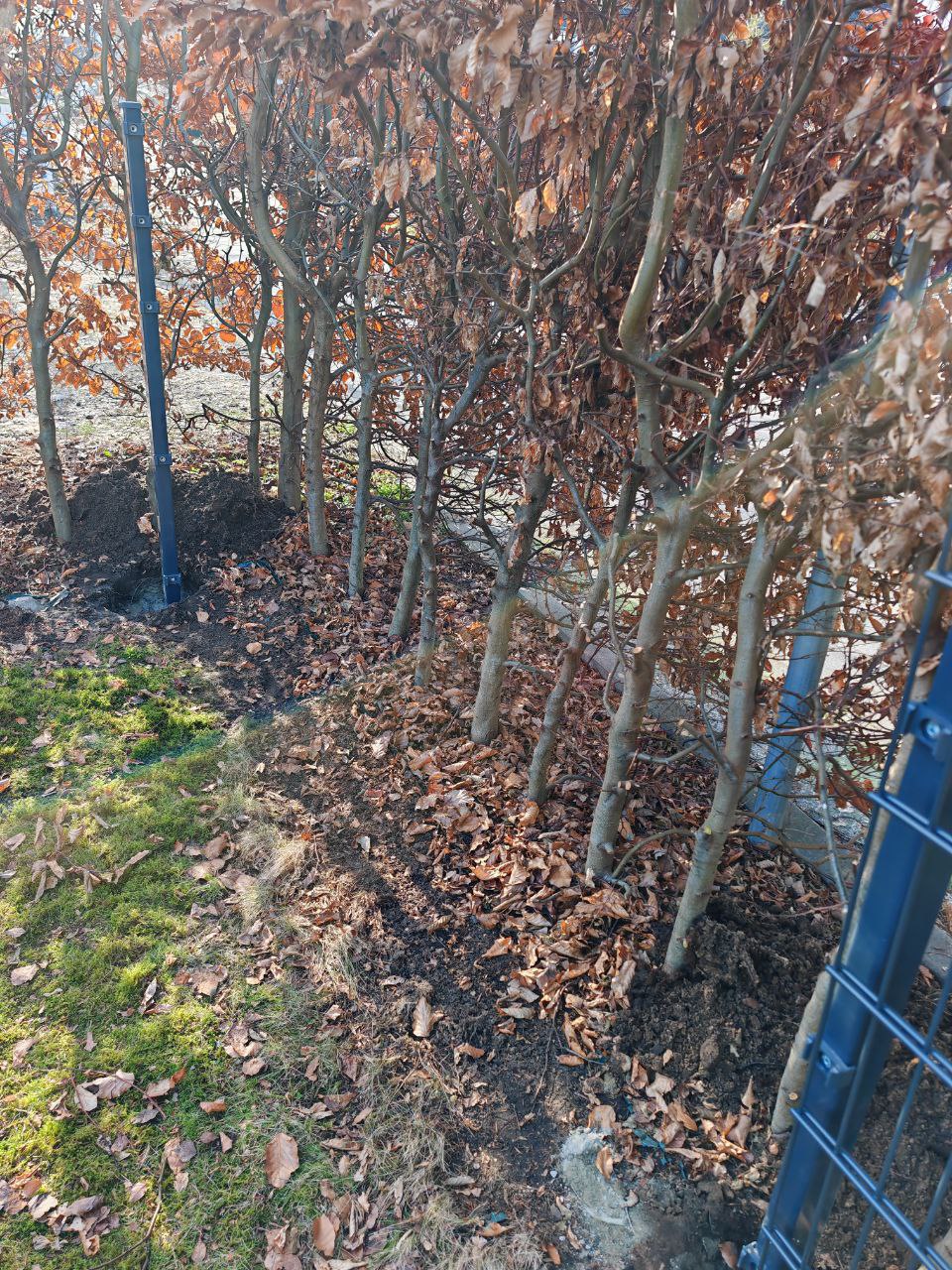 Anthrazit Doppelstabmattenzaun als Hundesicherung in Elmshorn – Nahaufnahme