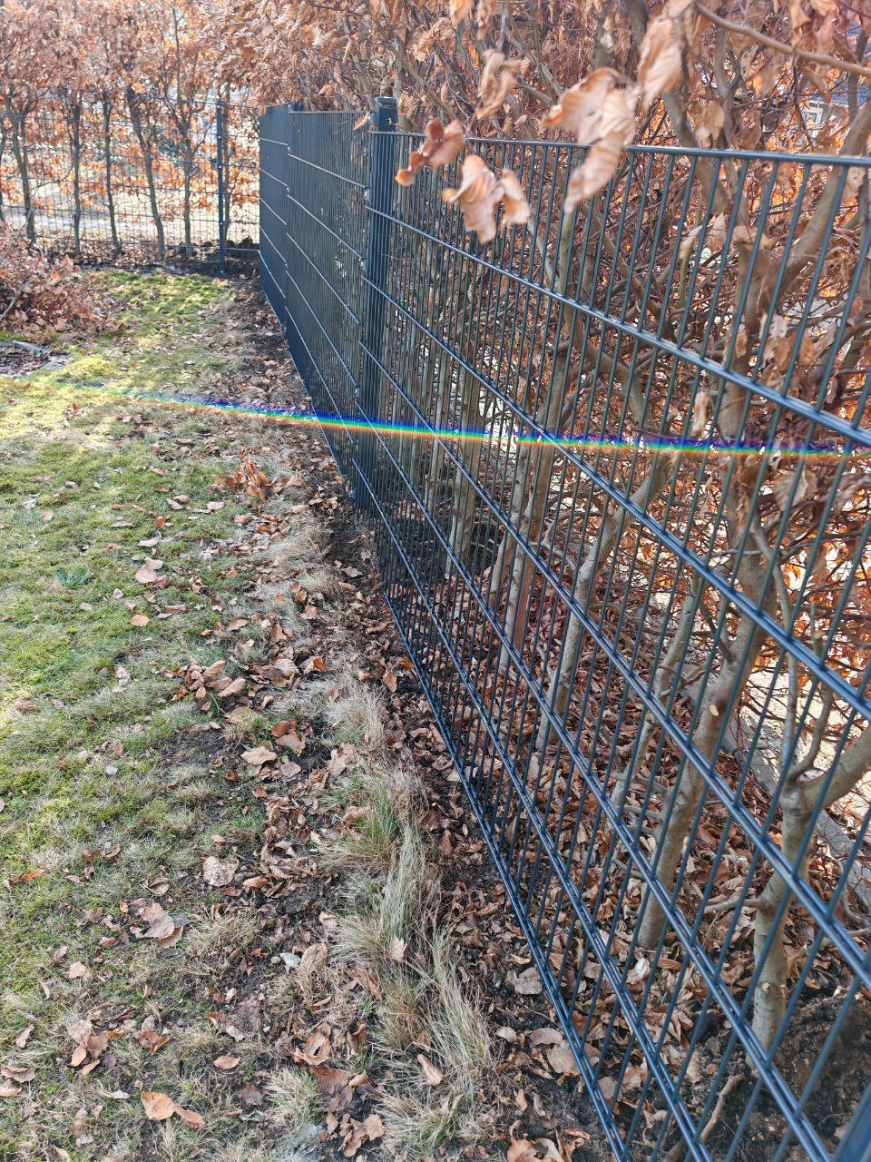 Anthrazit Doppelstabmattenzaun als Hundesicherung in Elmshorn (4/4)