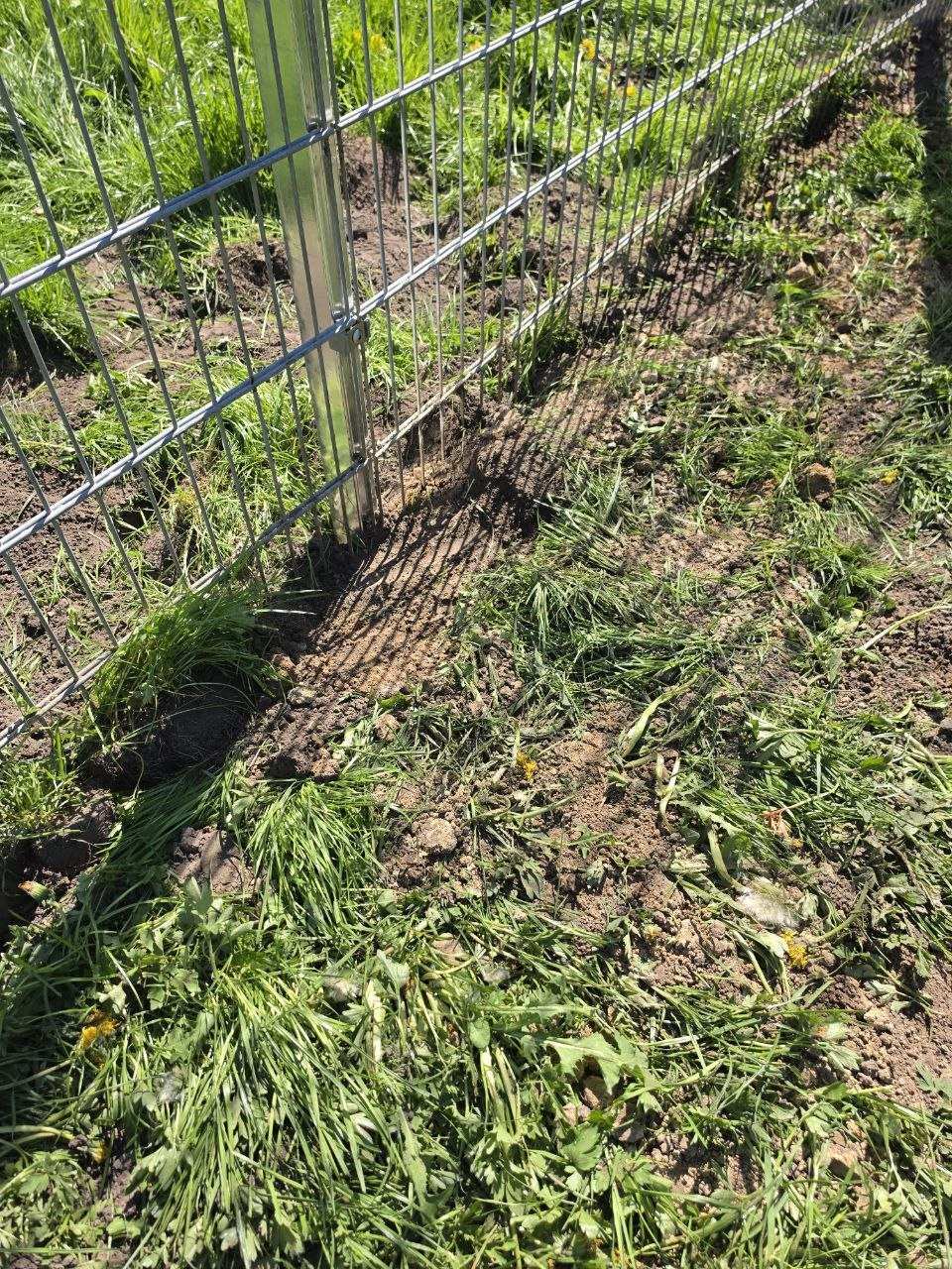 Doppelstabmattenzaun 2,23m verzinkt mit Tor für Hundepension in Lübeck – Nahaufnahme