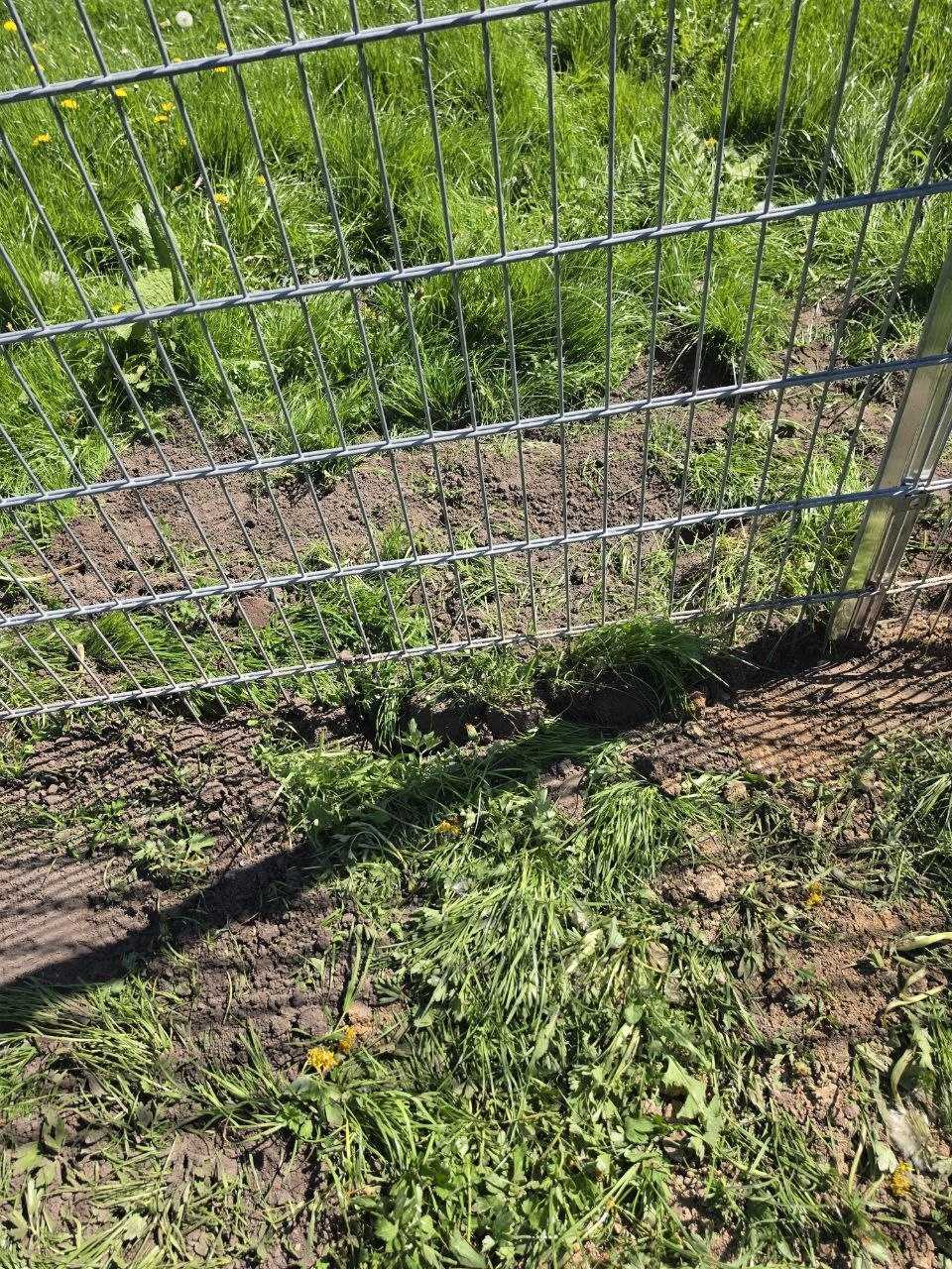 Doppelstabmattenzaun 2,23m verzinkt mit Tor für Hundepension in Lübeck – Perspektive